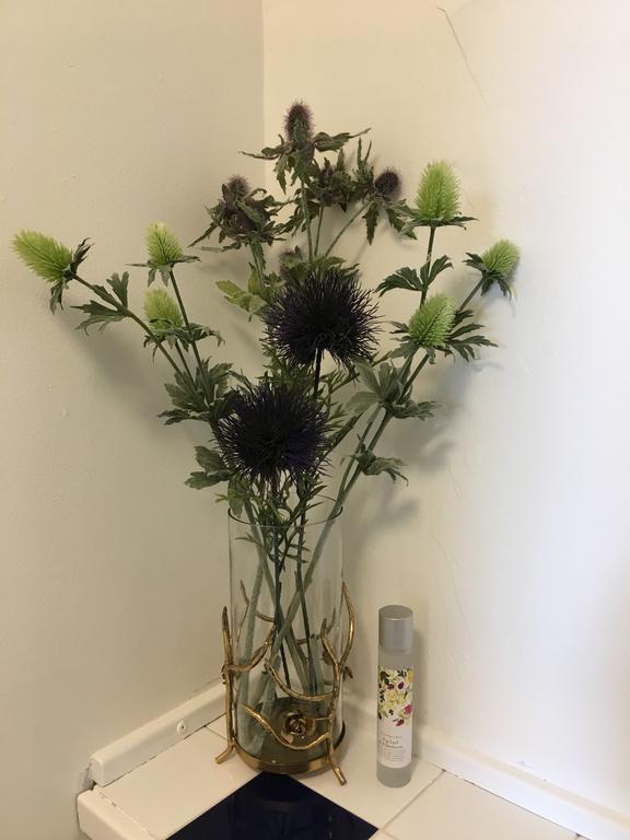 The Bothwell Bonnie Thistle Appartamento Edimburgo Esterno foto